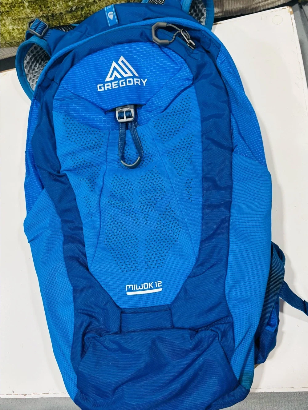 Gregory Blue Hydration Daypack - Men's Lightweight Backpack